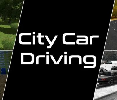 City Car Driving